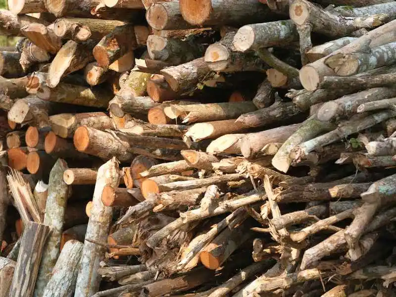 Sustainably sourced teak logging residues and branch logs ready for processing into premium handcrafted wooden kitchenware products
